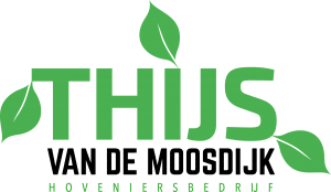 Thijs van de Moosdijk