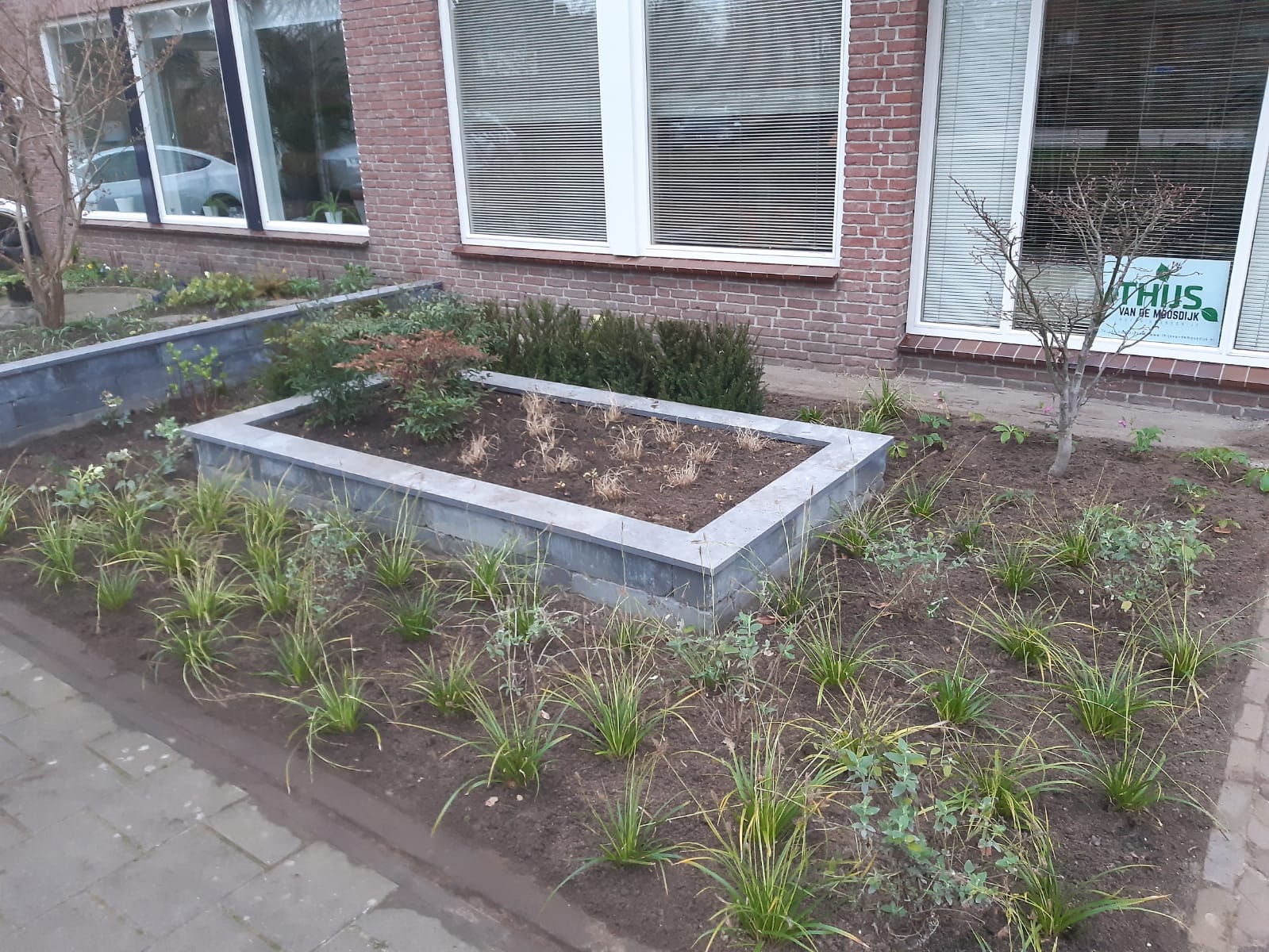 Thijs van de Moosdijk voortuin